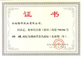 湖南省著名商标证书（湘珠）